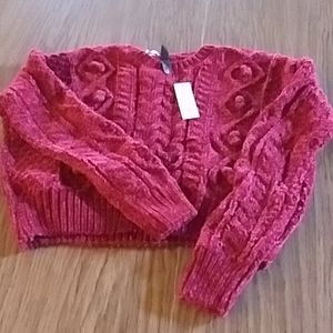 NWT Francesca's sweater